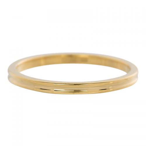 IXXXI Jewelry Ribbed Goud