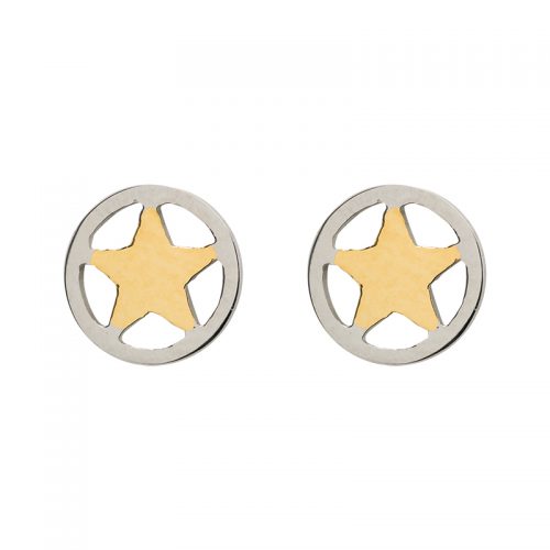 Oorbel Ster Goud / Zilver